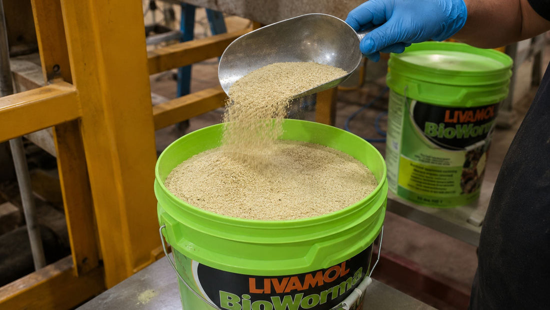 How to use BioWorma: a step-by-step dosing and application guide