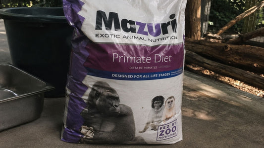 Sourcing Mazuri Feed for Zoos and Research Facilities: What You Need to Know