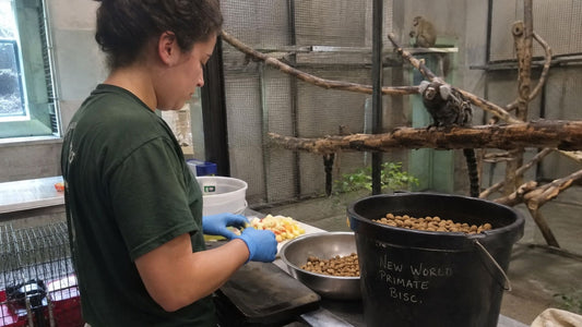 Mazuri primate diet guide: formulations, species, and sourcing for zoos