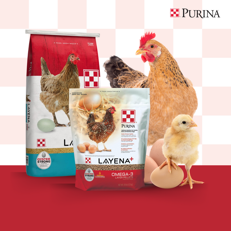 Purina