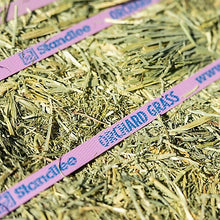Orchard Grass Grab & Go Compressed Bale, 50lbs