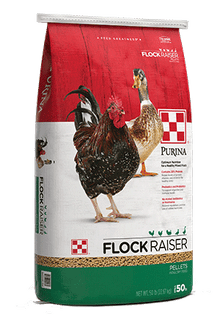 Purina Flock Raiser Pellets 61HM - 50lb