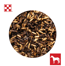 Purina Race Ready Horse Feed 3H14 - 50lb