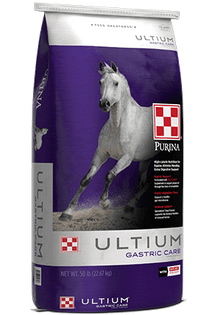 Purina Ultium Gastric Care 35XX - 50lb