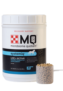 Purina Equine SystemIQ Supplement 6X2 3H1W - 12lb Case