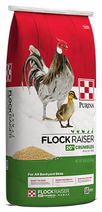 Purina Flock Raiser Crumbles 61HM - 50lb