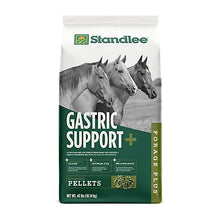 Forage Plus Gastric Support, 40lbs