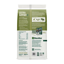 Forage Plus Gastric Support, 40lbs