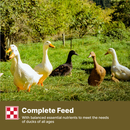 Purina Duck Pellets 61HJ - 4.5lb