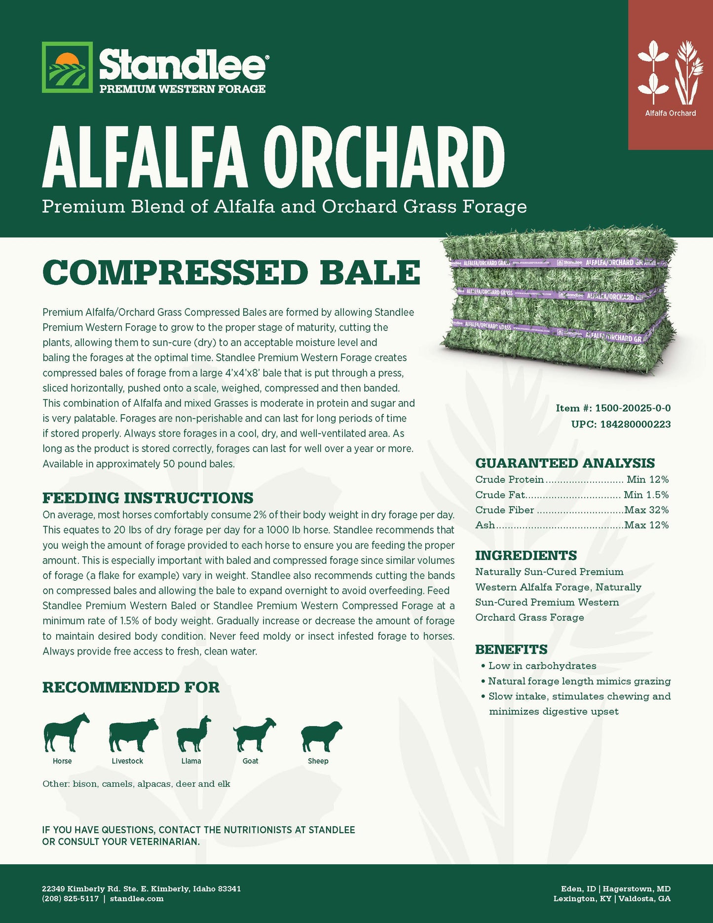 Alfalfa Orchard Compressed Bale - 50lbs