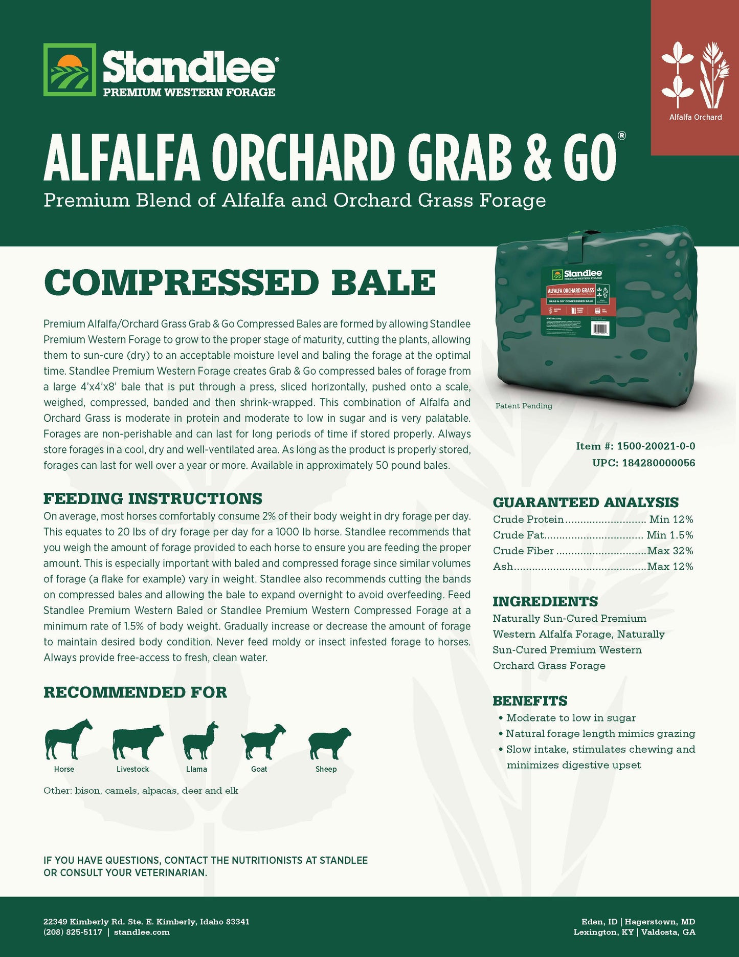 Alfalfa Orchard Grab & Go Bale - 50lbs