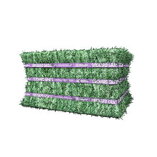 Orchard Grass Compressed Bale, 50lbs