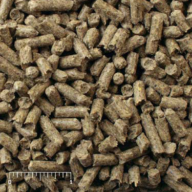 Mazuri Ratite Diet Maintenance 5647 - 50lb