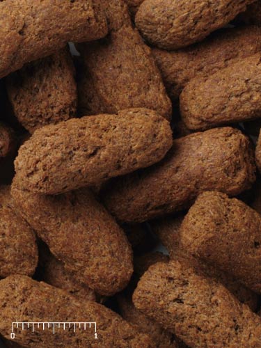 Mazuri Primate LS Biscuit Large 5M1S - 25lb