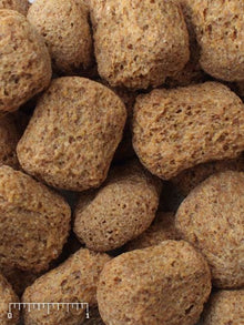 Mazuri Monkey Crunch 20 Biscuit 5M29 - 20lb