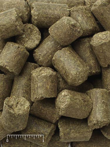 Mazuri ADF 16 -3/4 Cube Regional 5ML2 - 50lb