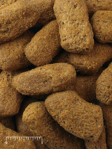 Mazuri Primate Basix Bisuit 5NAA - 25lb