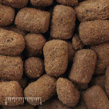 Mazuri Wild Carnivore Bear Maintenance 5M4R - 40lb