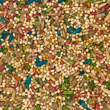 Colorful Companions Parakeet Blend - 25lb