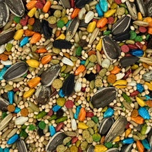 Colorful Companions Cockatiel Blend - 25lb