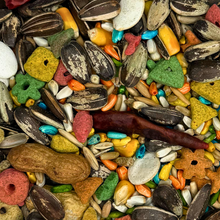 Colorful Companions Parrot Blend - 25lb