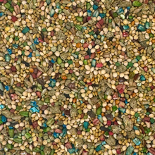 Colorful Companions Finch Blend - 25lb