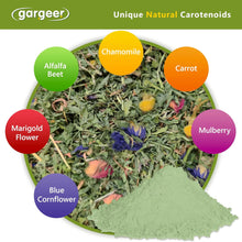 Gargeer All Reptiles Color Enhancer - 2oz