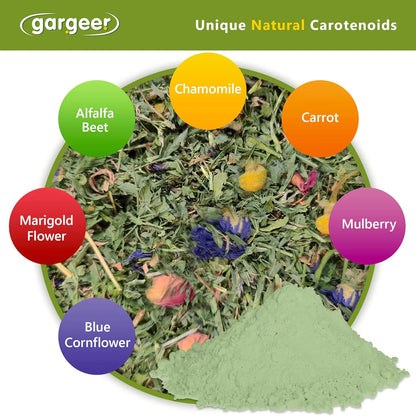 Gargeer All Reptiles Color Enhancer - 2oz