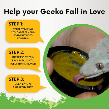 Gargeer Complete Crested Gecko Food Diet Fig - 8oz