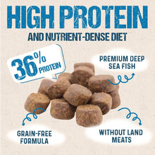 Timberwolf Ocean Blue Herring Dog Food - 4lb