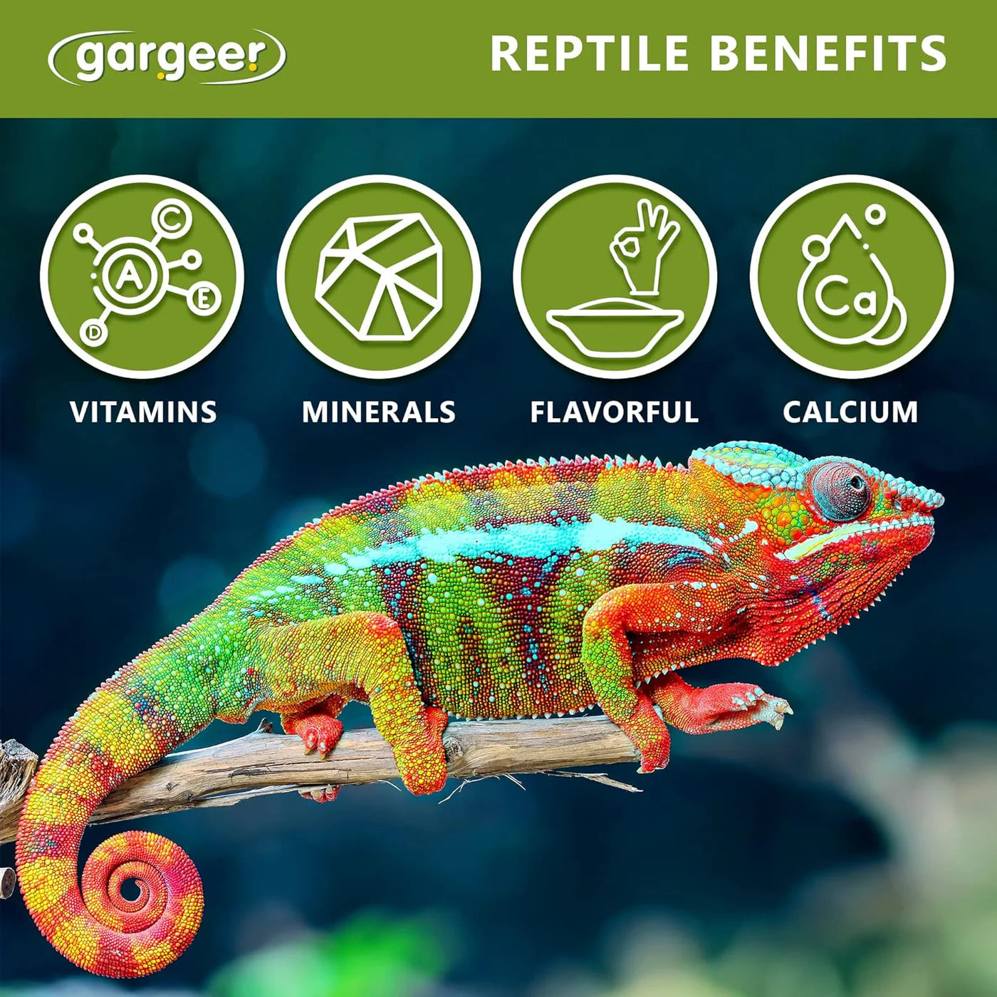 Gargeer All Reptiles Color Enhancer - 2oz