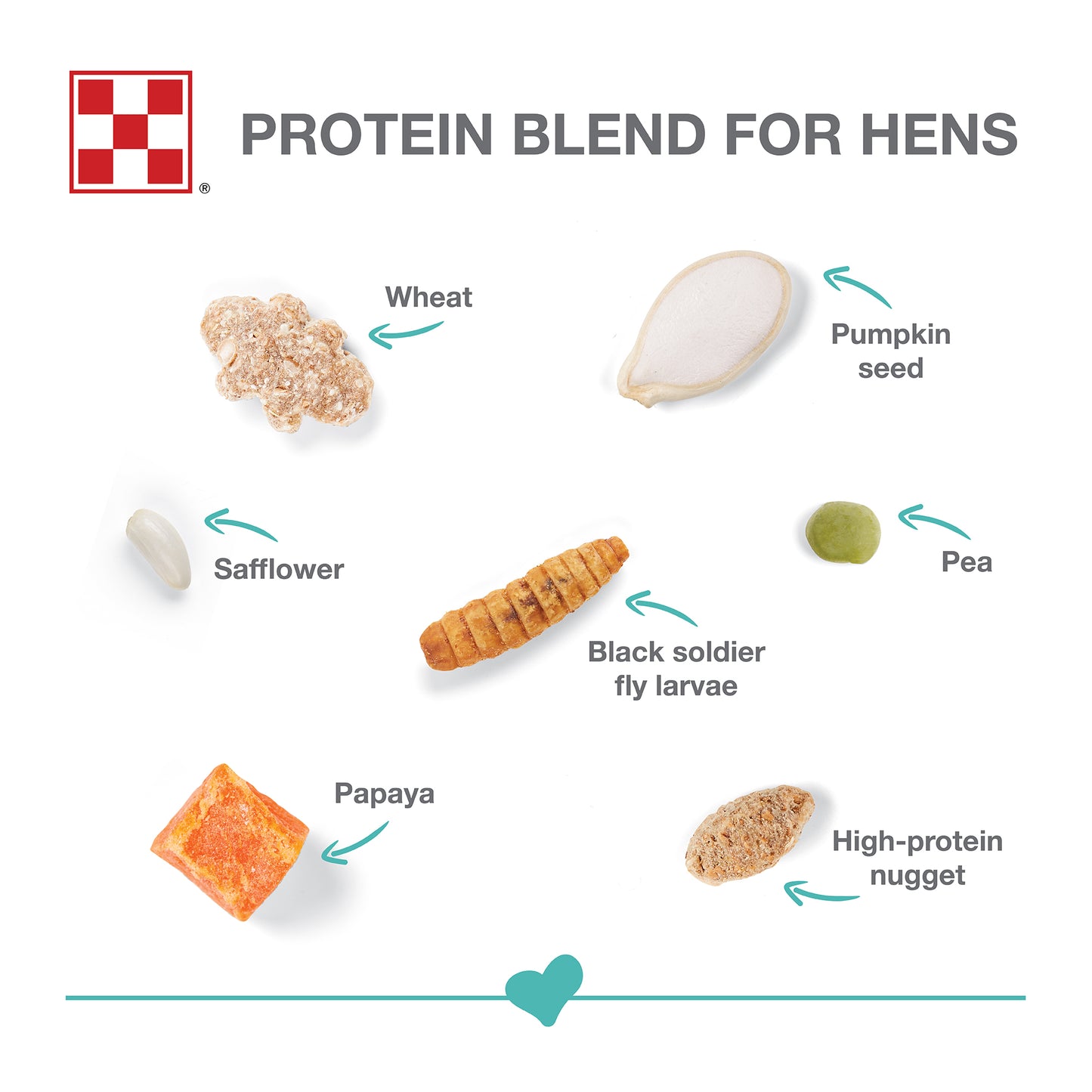 Purina Hen Treats Protein Blend 523G - 7.5lb
