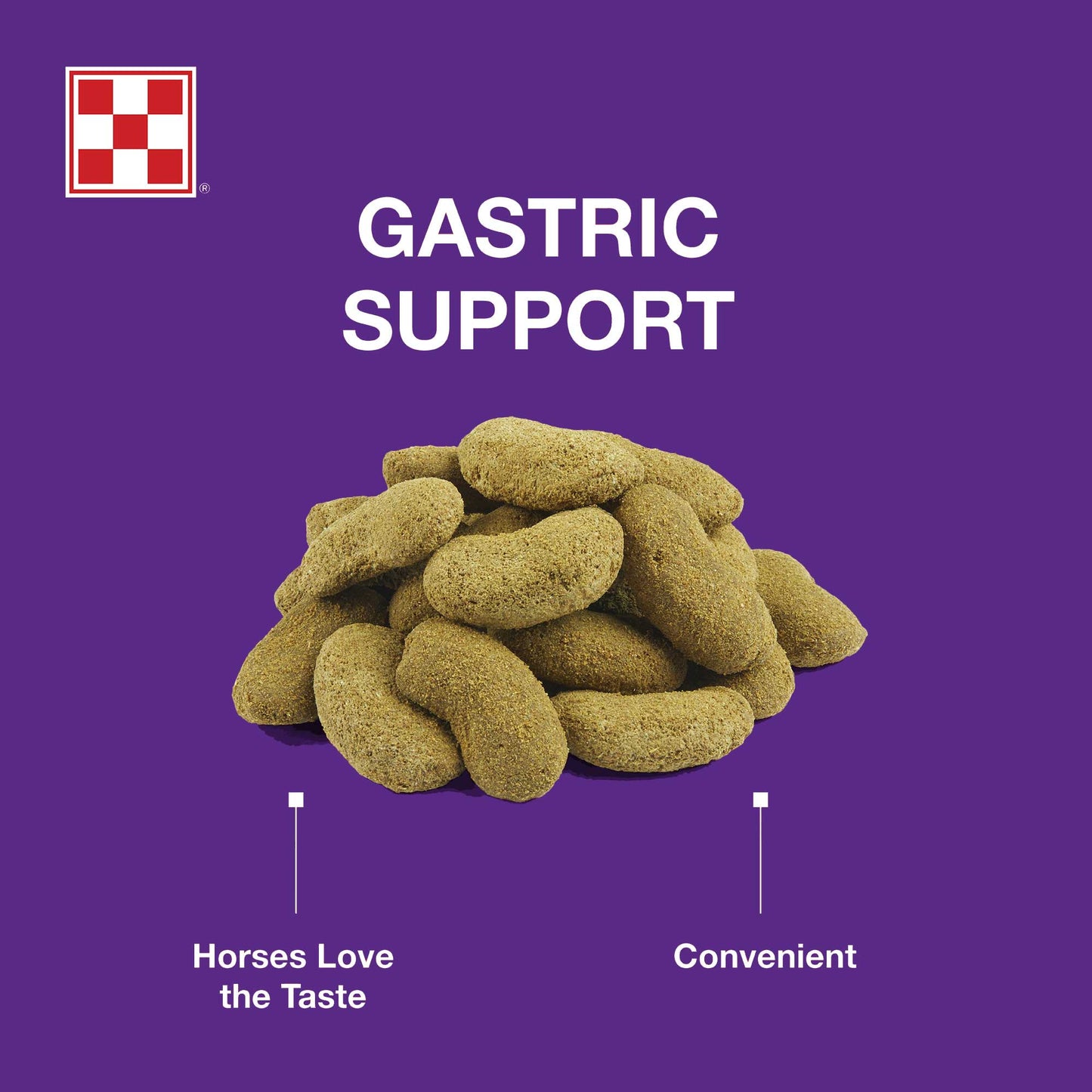 Purina Outlast Horse Treats
