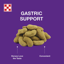 Purina Outlast Horse Treats