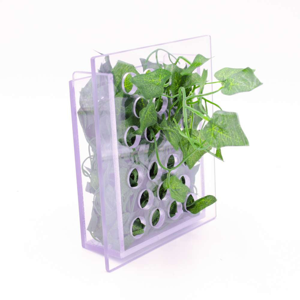 All-Day Buffet - Primate Enrichment System