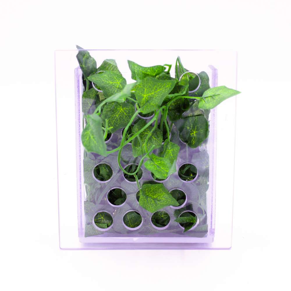 All-Day Buffet - Primate Enrichment System