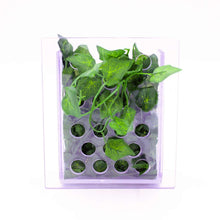 All-Day Buffet - Primate Enrichment System