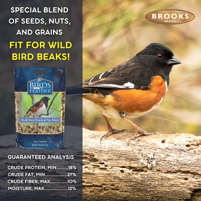 Birds Of A Feather - Shell-Free Festival