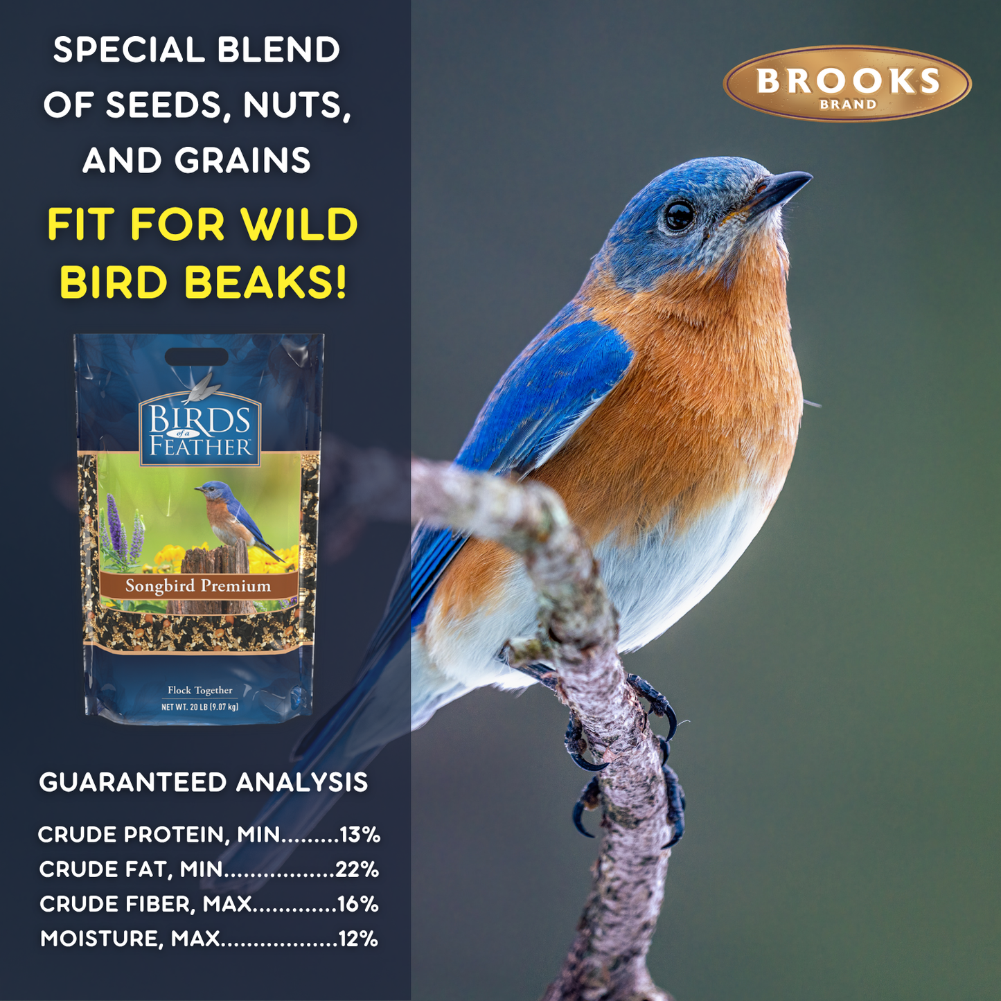 Birds Of A Feather - Songbird Premium