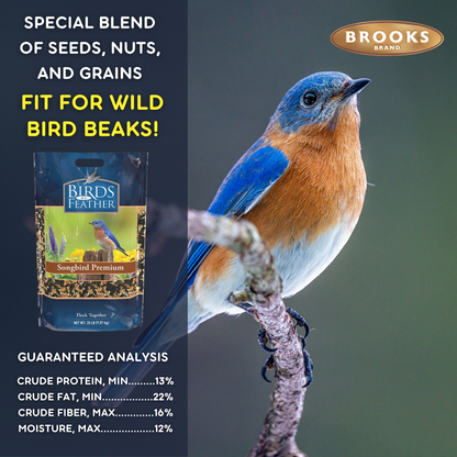 Birds Of A Feather - Songbird Premium