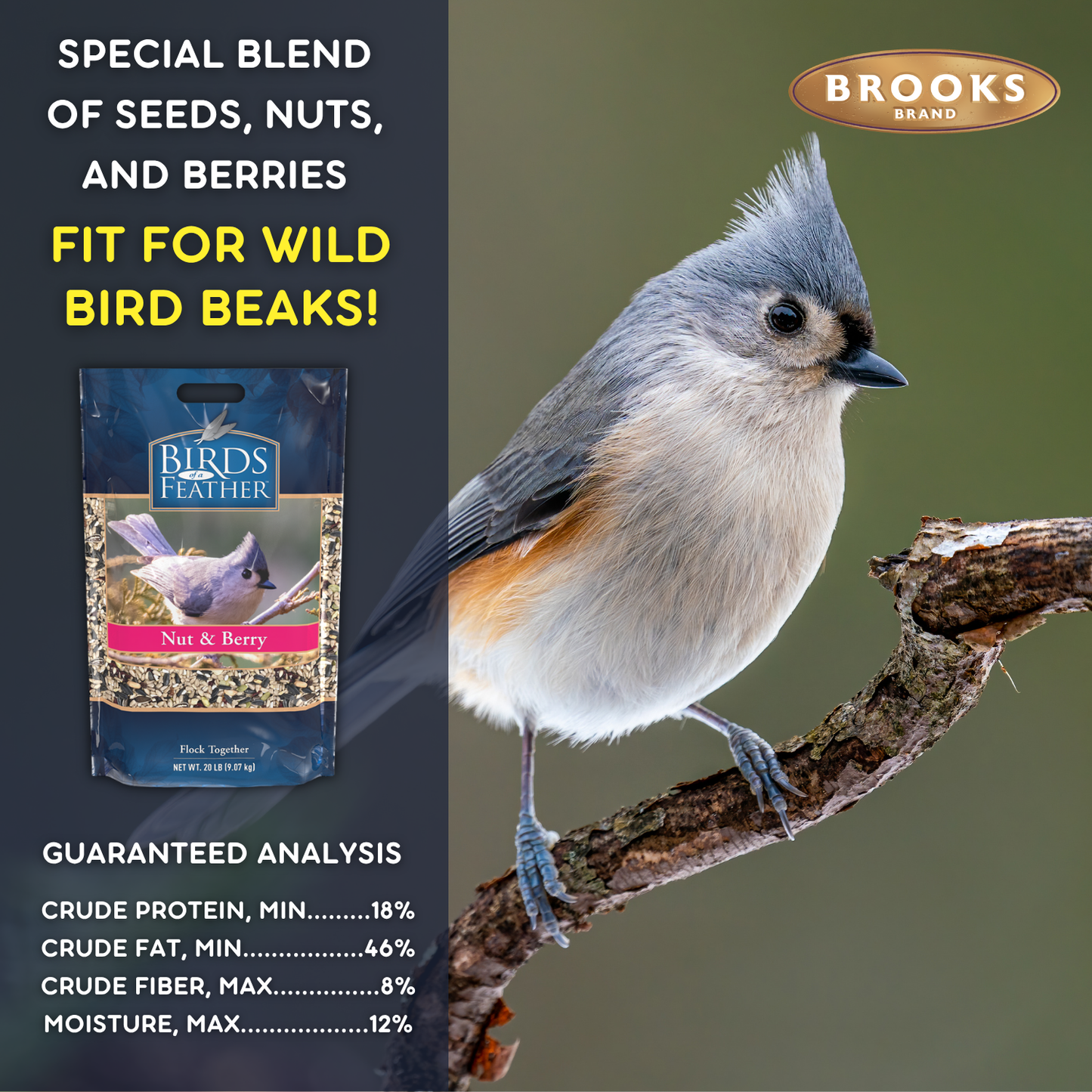 Birds Of A Feather - Nut and Berry