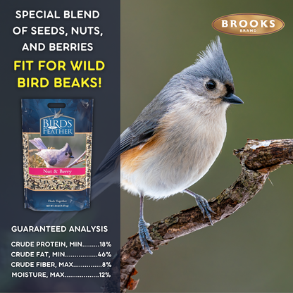 Birds Of A Feather - Nut and Berry