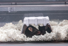 Shepherd Shacks - Backless Shack - 800 Per Case