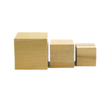 Wood Gnawing Blocks, Certified - Large - 100 Per Box