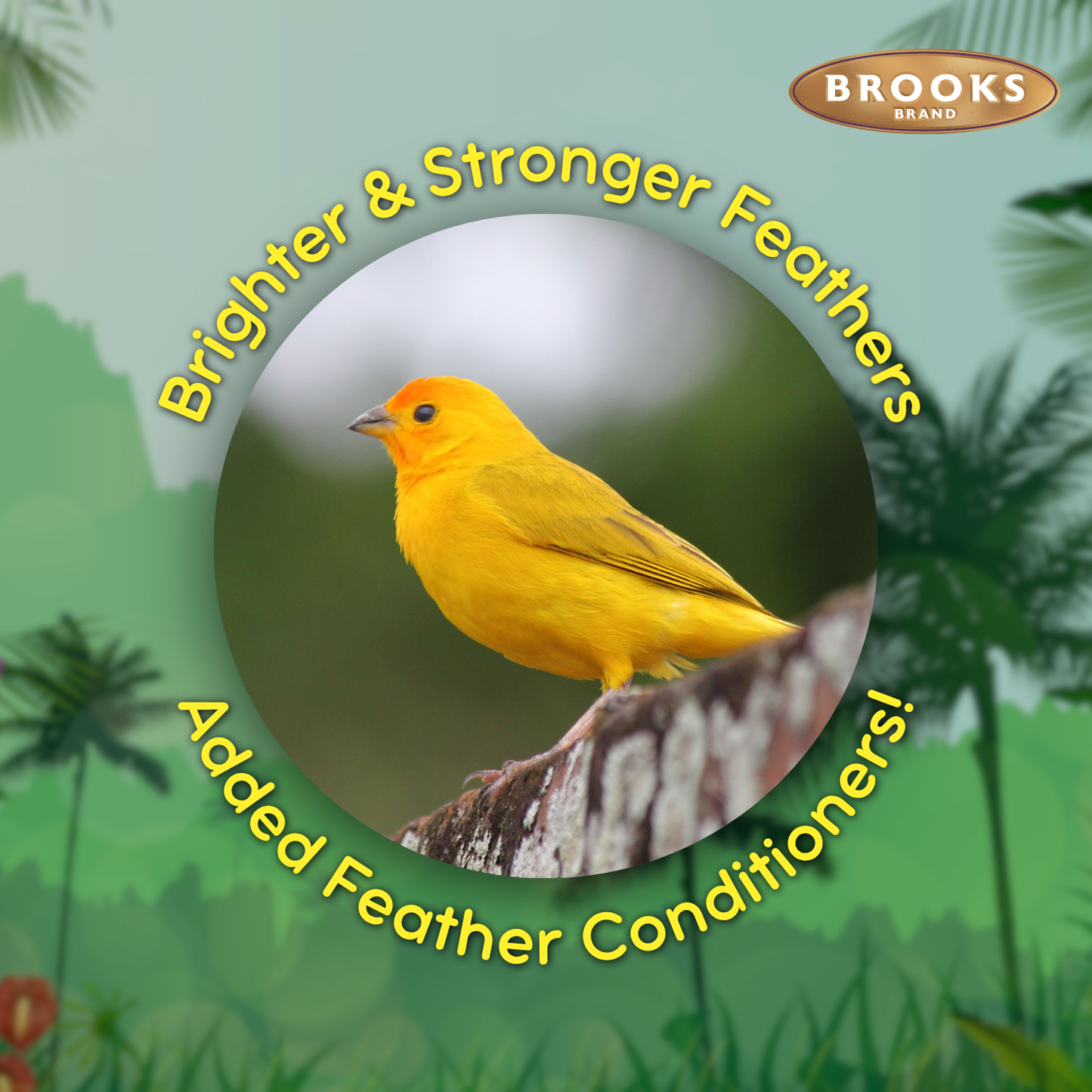 Colorful Companions Canary Blend - 25lb