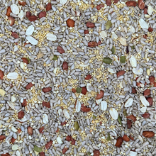 Birds Of A Feather - Shell-Free Festival