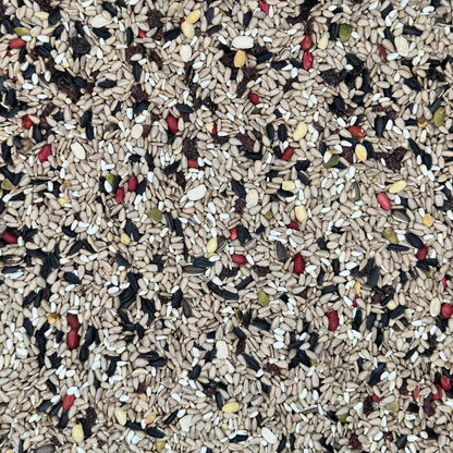 Birds Of A Feather - Nut and Berry
