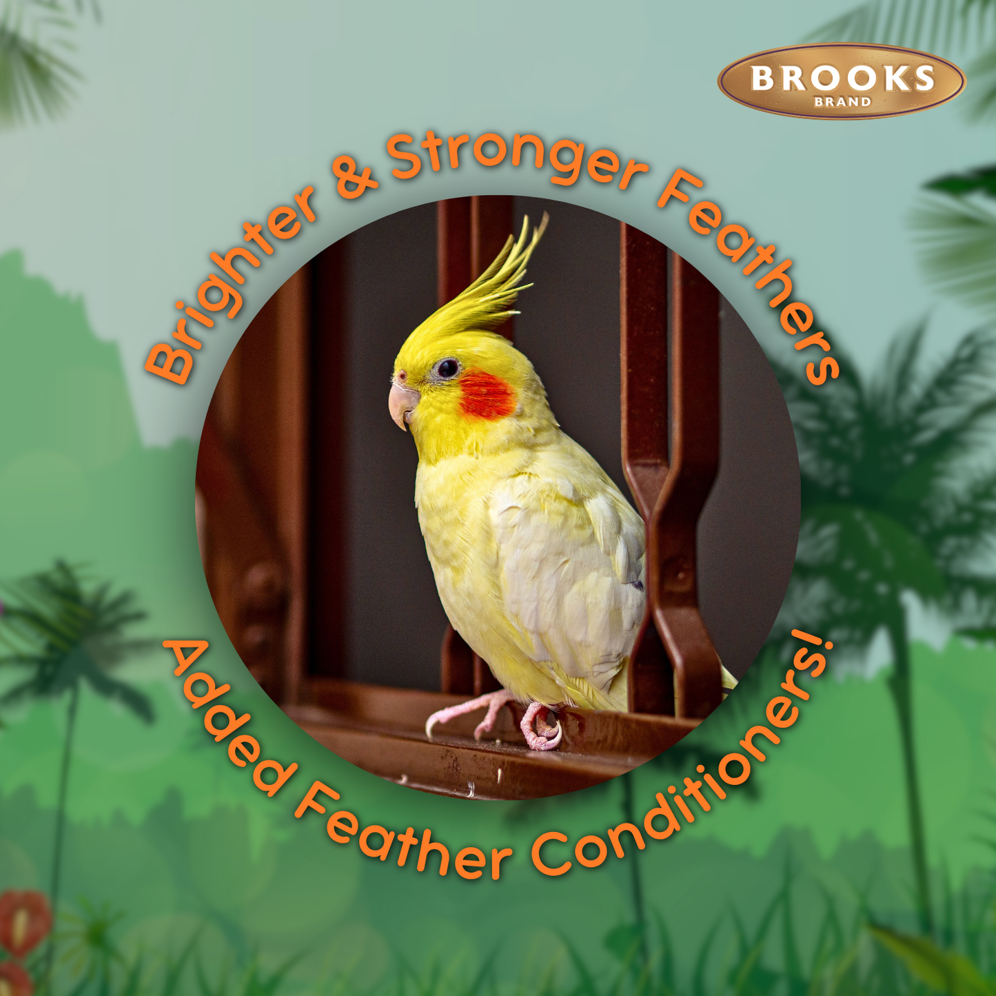 Colorful Companions Cockatiel Blend - 25lb