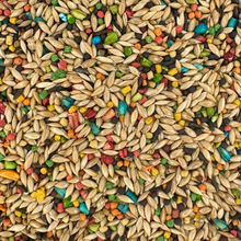 Colorful Companions Canary Blend - 25lb