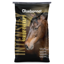 Bluebonnet Intensify Senior Therapy